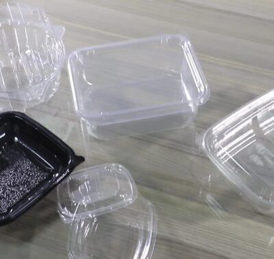 Takeaway Plastic Containers (Set of 10)